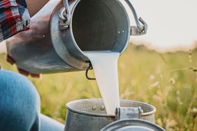 Farmer pouring raw milk into a container