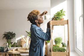 Person watering herbs