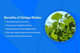 Health Photo Composite - Ginkgo Biloba